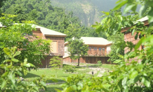 Jungle Bay Dominica